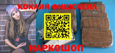 гашик Кингисепп