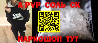 гашик Кингисепп