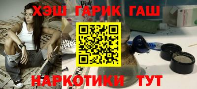 гашик Кингисепп