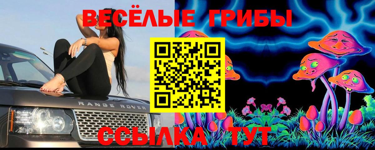 Псилоцибиновые грибы GOLDEN TEACHER  Вход с VPN  Галлюциногенные грибы мицелий  купить закладку  Великий Устюг 