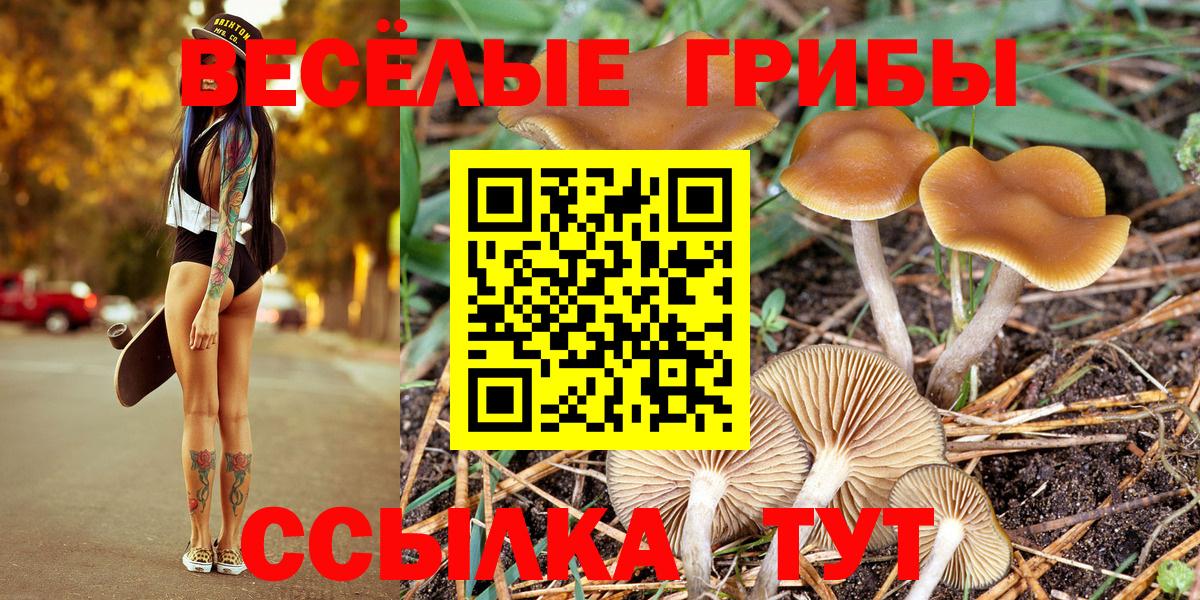 Псилоцибиновые грибы MAGIC MUSHROOMS Великий Устюг