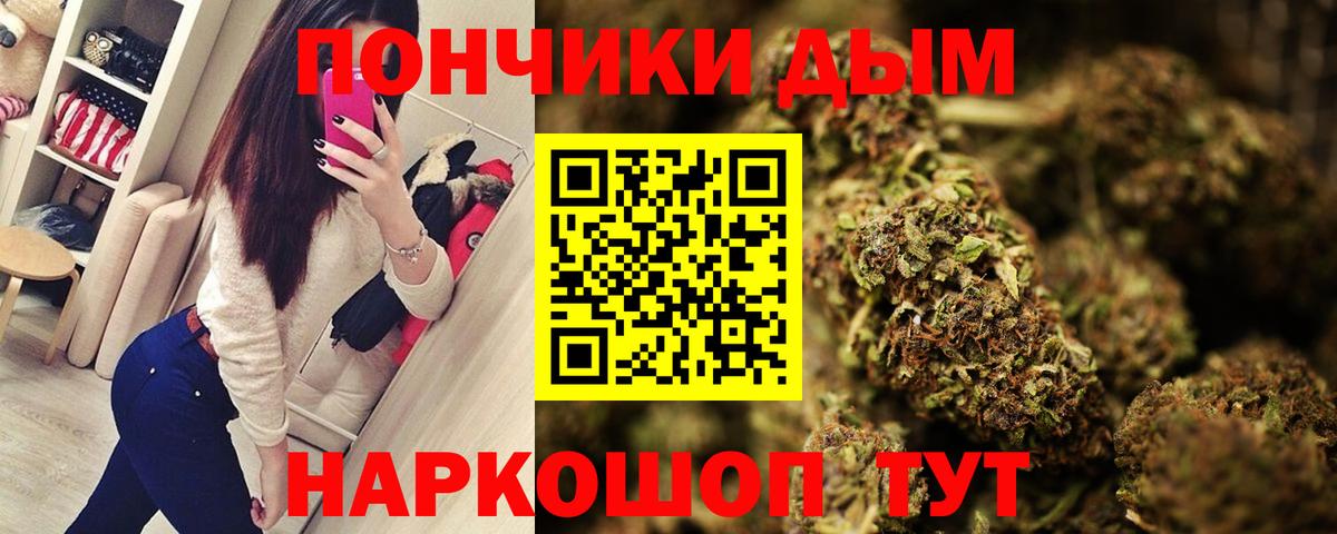 Шишки марихуана сатива  Вход с VPN  Бошки Шишки Amnesia  Великий Устюг  Марихуана планчик 